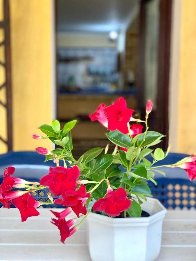 La Casa Dei Bouganville - Lo Stagnone Isole Egadi Marsala Exterior foto